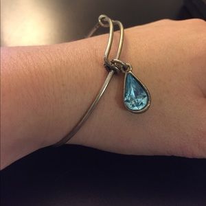Alex and Ani Living Water Charm Bangle - Silver