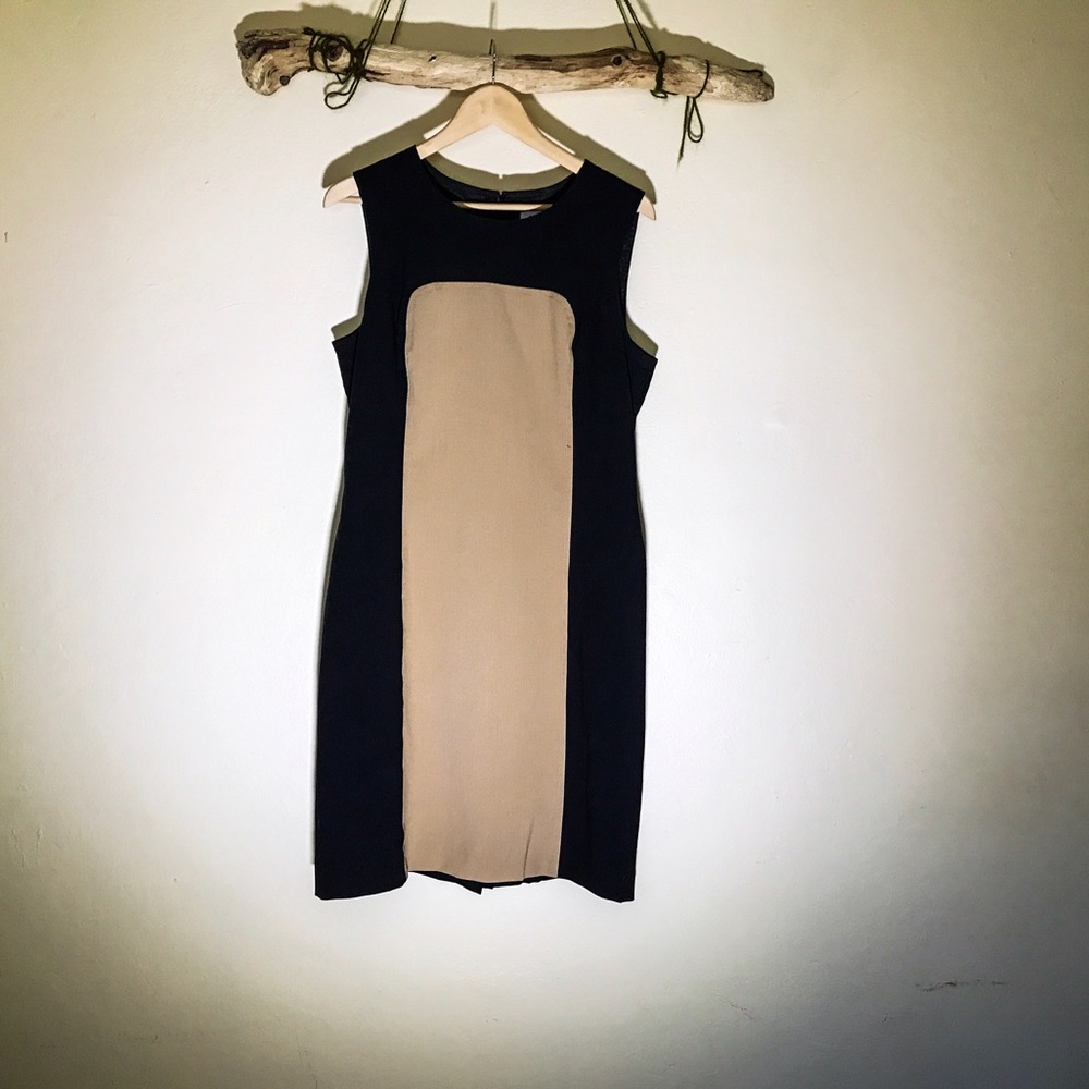 Beautiful Black and Tan dress
