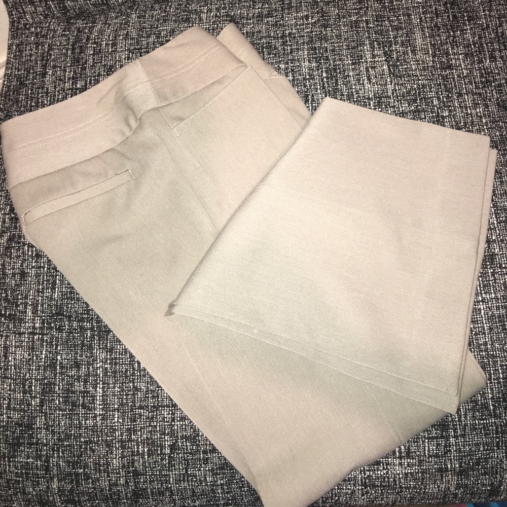 Express Editor Pants