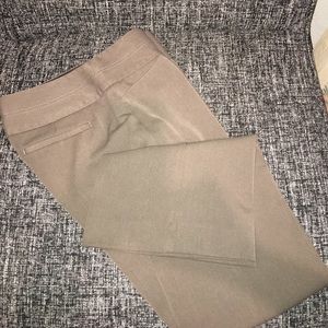 Express Editor Pants
