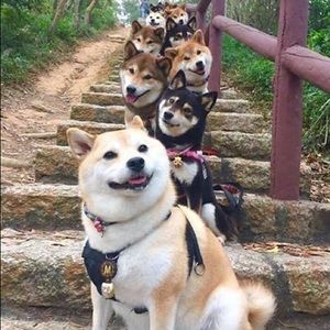 Meet your Posher, Duy