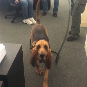 Meet your Posher, Kaylen