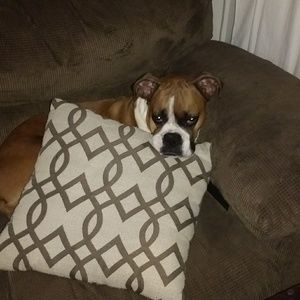 Meet your Posher, Vanessa