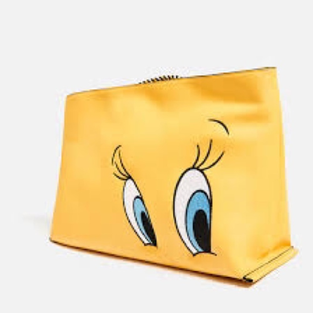 Zara bag