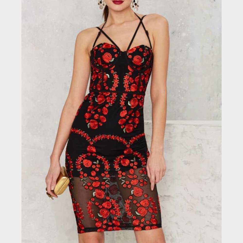 Nasty gal dress IN SEARCH OF
