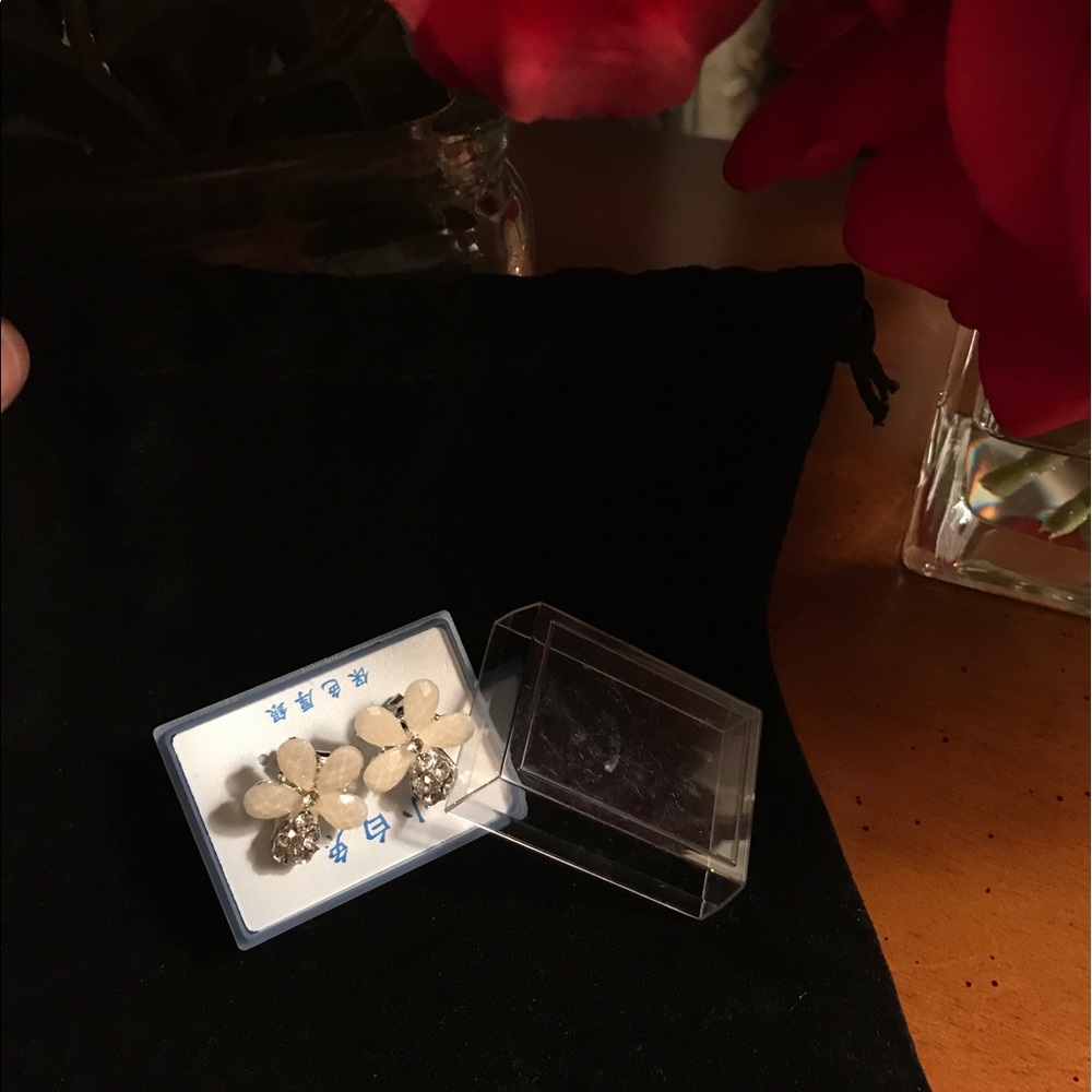 Earrings 🌸🌼NWT 🌼🌸