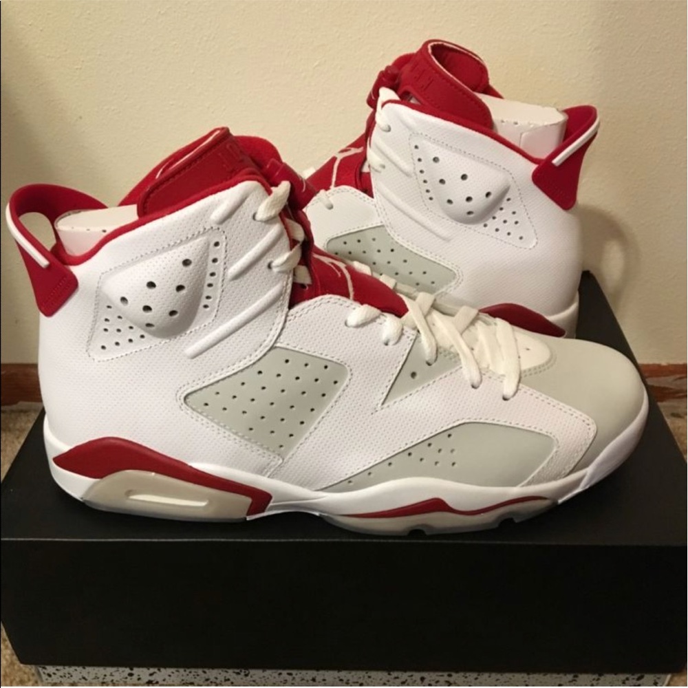 Retro Air Jordan 6 Alternate