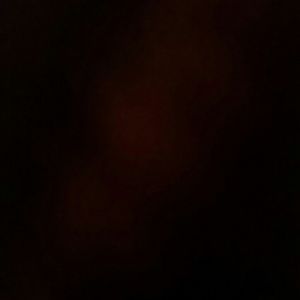 Meet your Posher, Anne