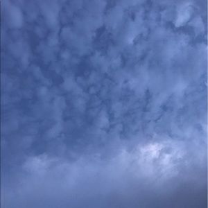 Meet your Posher, Lane