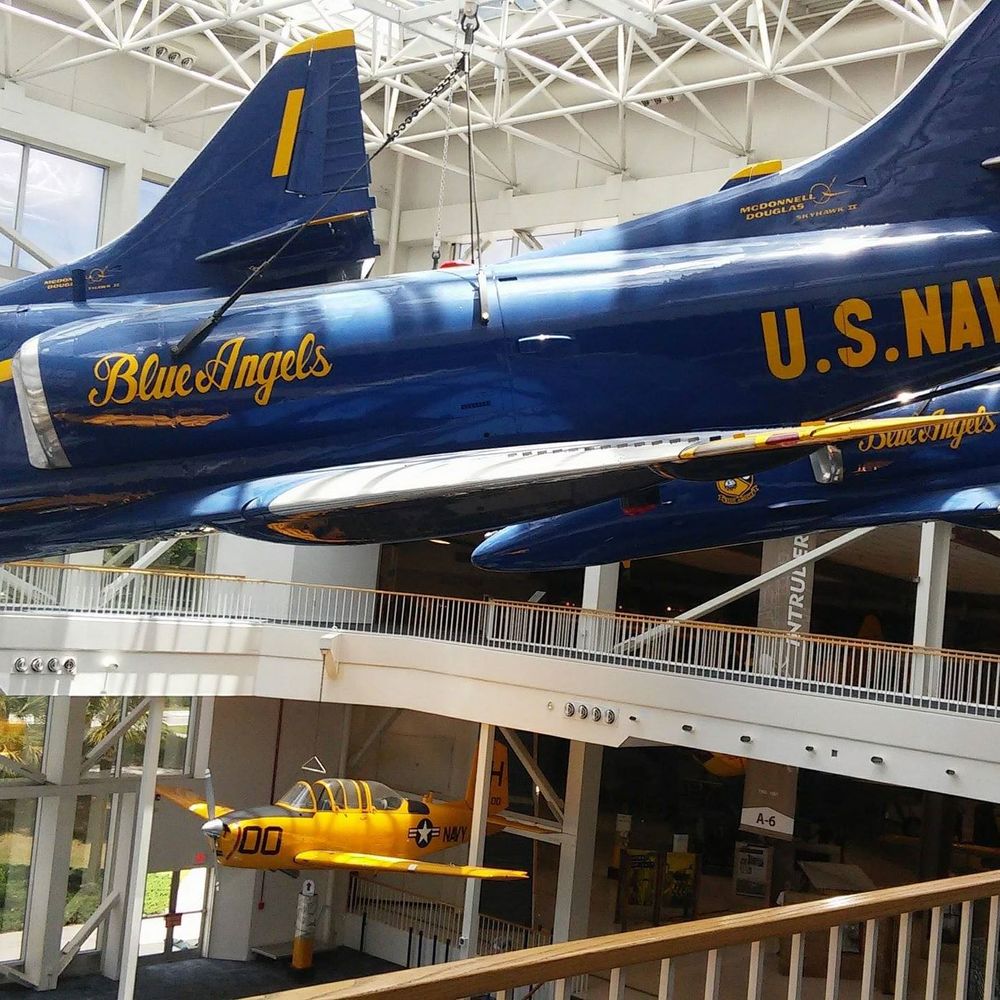 Meet your Posher, Dillion