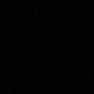 Meet your Posher, Tommy