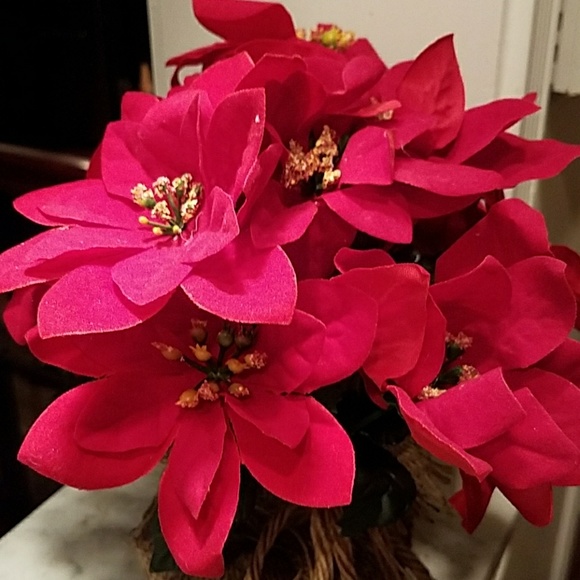 Meet your Posher, Adrian - Picture 2 of 2