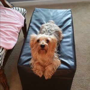 Meet your Posher, Andrea