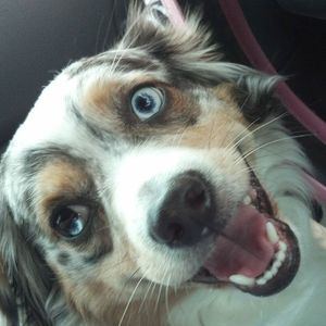 Meet your Posher, Teresa