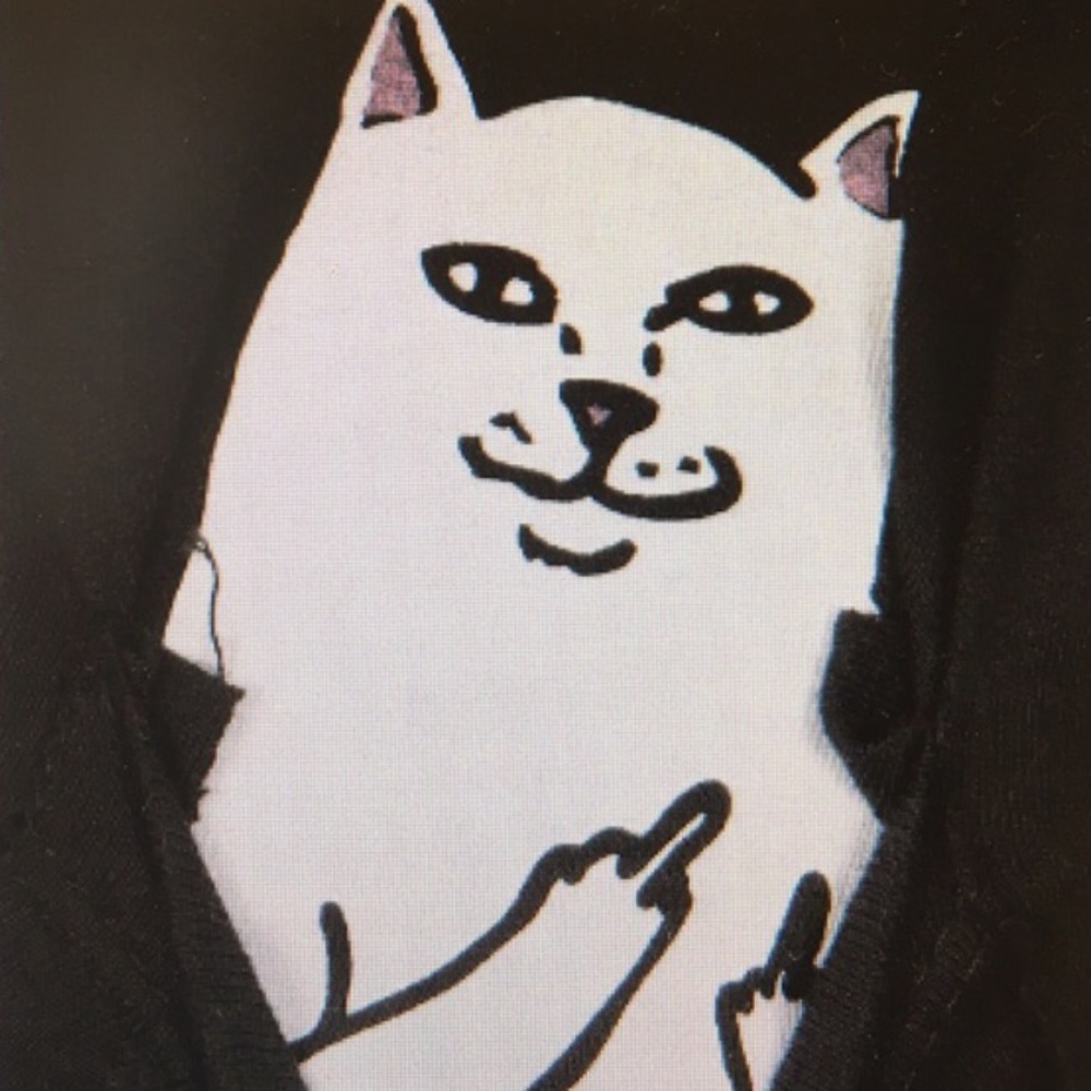 Black tee middle finger cat pocket