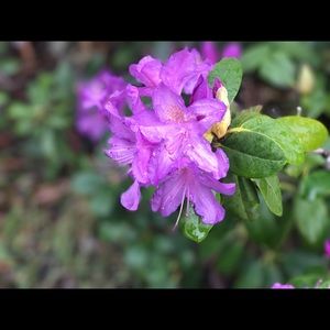 Meet your Posher, Seth