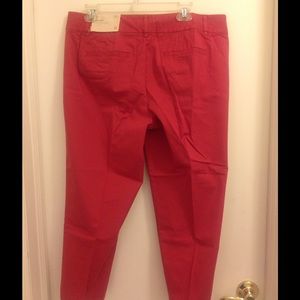 Marisa Cropped Pants from The Loft