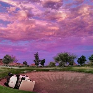 Meet your Posher, Gary