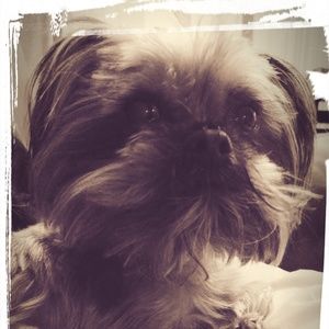 Meet your Posher, Julie