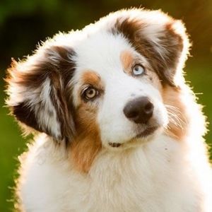 Meet your Posher, Alana