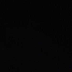 Meet your Posher, Janice