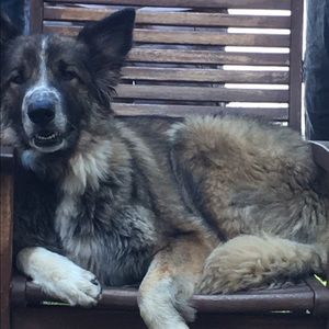 Meet your Posher, Anna