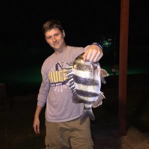 Meet your Posher, Chase