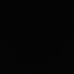 Meet your Posher, Carter