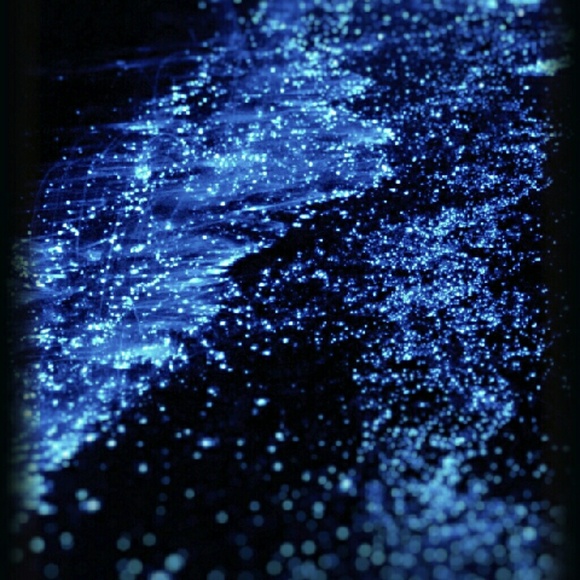 Meet your Posher, Troy - Picture 1 of 1