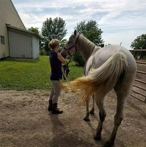 Meet your Posher, Hannah