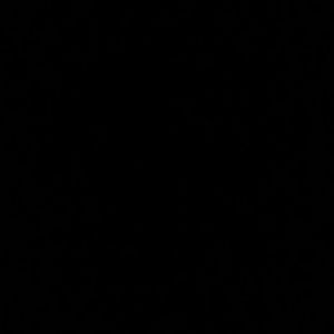 Meet your Posher, Vernecia