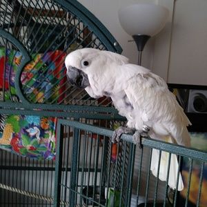 Meet your Posher, Sandra