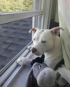 Meet your Posher, Carol