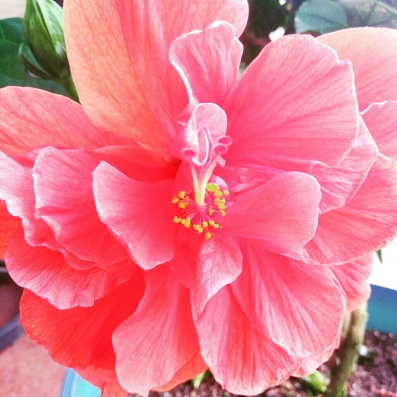 Meet your Posher, Jessica - Picture 8 of 8