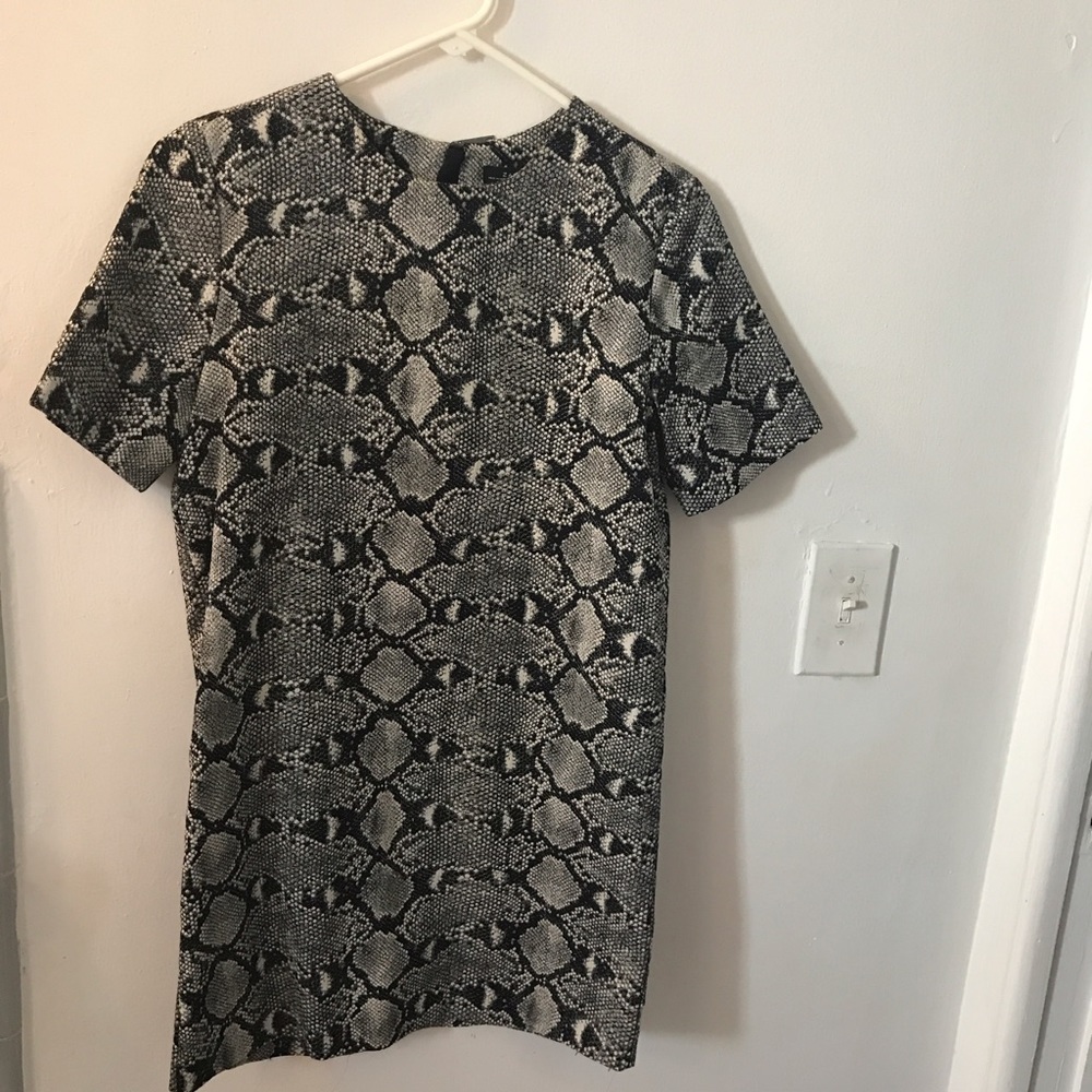 Zara Snake Skin Print Dress