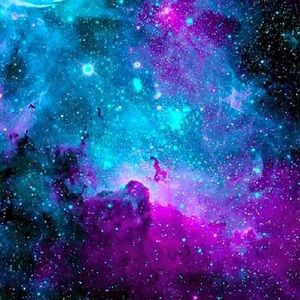 Meet your Posher, Bridgette