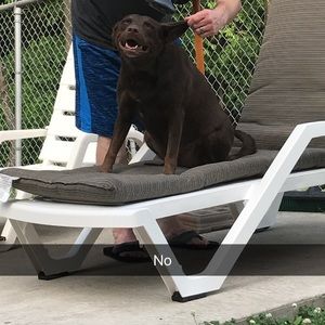 Meet your Posher, Ava