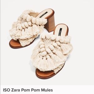 ISO.. In Search Of ..in a size 40/9