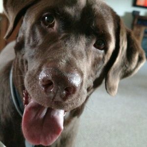 Meet your Posher, Jamie