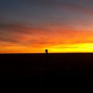 Meet your Posher, Jaime