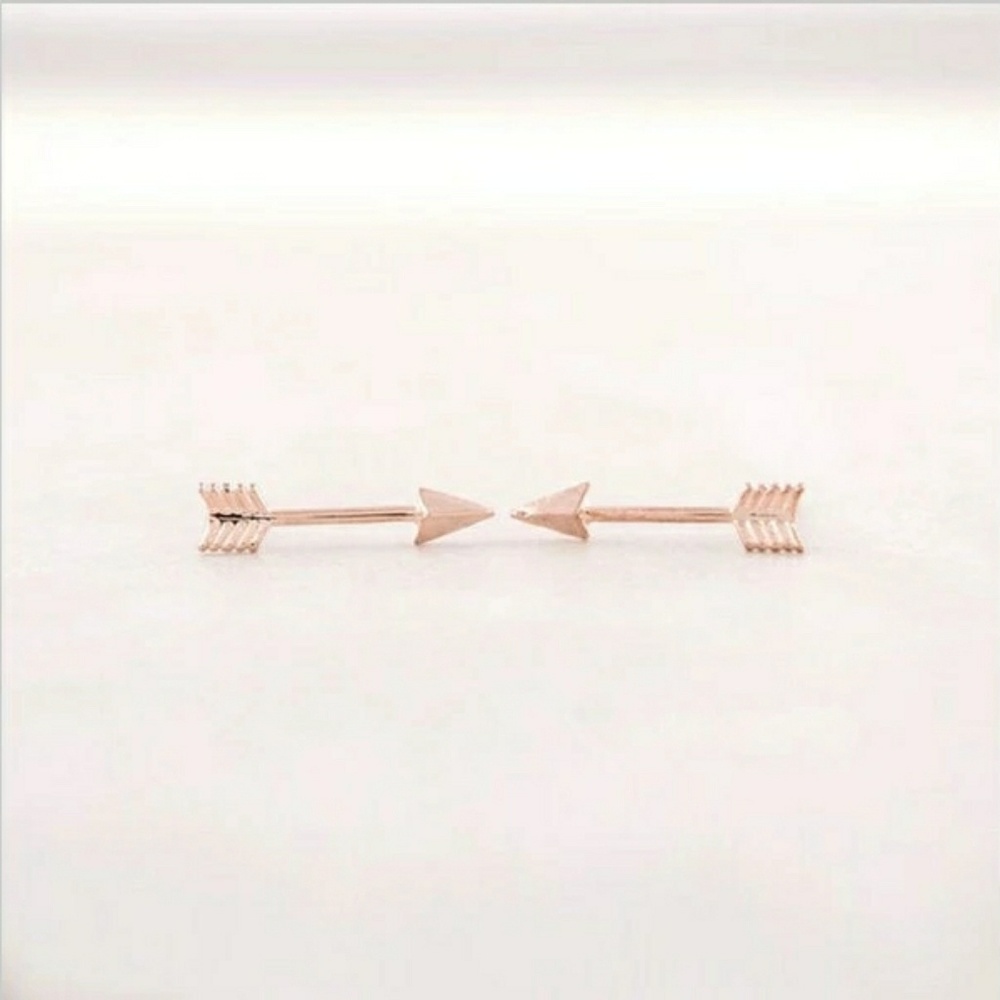 🍁 3 for $15 Rose Gold Arrow Stud Earrings Studs