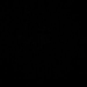 Meet your Posher, Marlene