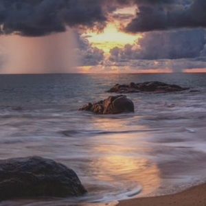 Meet your Posher, Ava