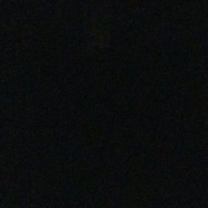 Meet your Posher, Dawson