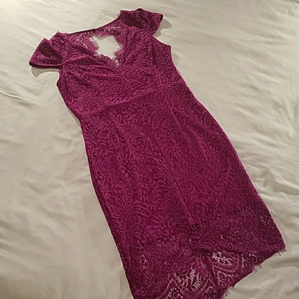 NWT Dark Pink Lace dress