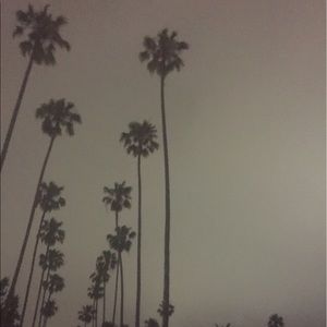 Meet your Posher, Jo