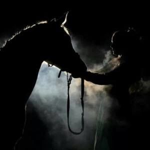 Meet your Posher, Elena