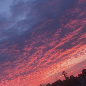 Meet your Posher, Abbie