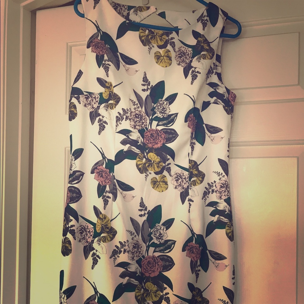 NWT Ladies Dress with sparkle detail