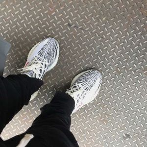 Meet your Posher, Alfredo